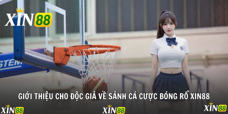 Cá Cược Bóng Rổ - Mỗi Trận Đấu Là Một Lần Thăng Hoa Giới thiệu cho độc giả về sảnh cá cược bóng rổ Xin88