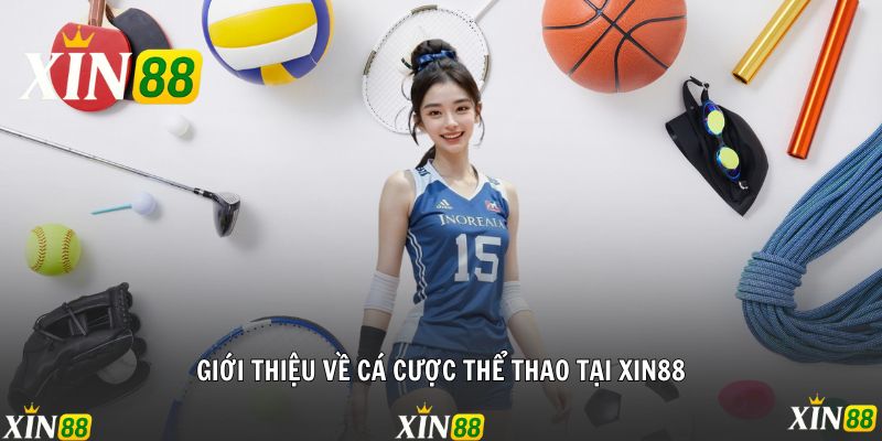 Giới thiệu về cá cược thể thao cực chất tại Xin88