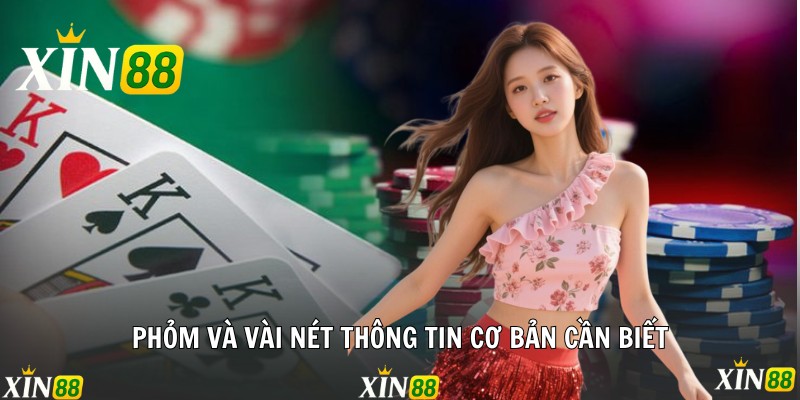 Phỏm và vài nét thông tin cơ bản cần biết
